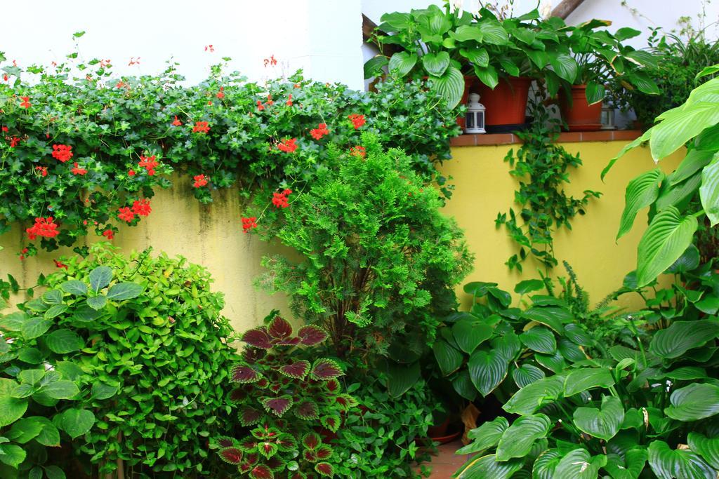 Hostal Escartin Sabiñánigo Exteriör bild