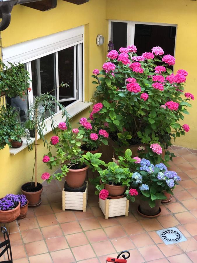Hostal Escartin Sabiñánigo Exteriör bild